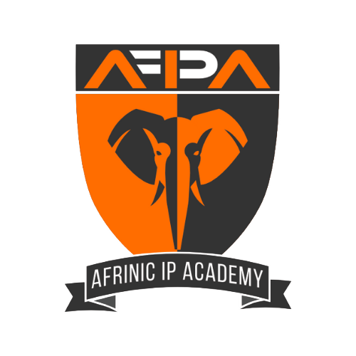 CAPACITY BUILDING afrinic training academy logo